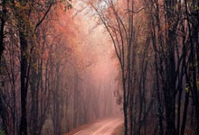 币游国际：孙颖莎3-0取胜 晋级乒乓球亚洲杯16强.