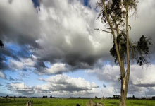 币游国际：德甲第22輪法蘭克福2-1拜仁慕尼黑 鐮田大地首開紀錄萊萬破門難救主.