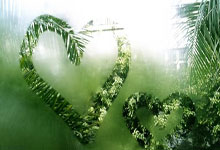 CBA：助攻数创赛季新高 山东高速男篮主场成功复仇.